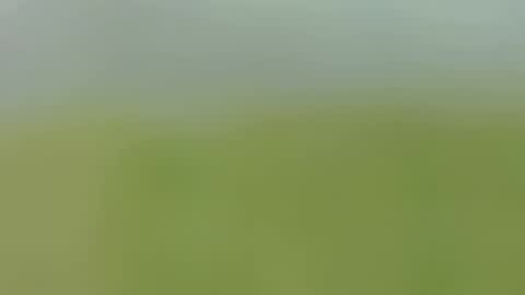 Snapshot of carolinnagomez chatting on 24, 9, 2025 Caro online show from 24, 9, 2025