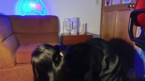 Snapshot of caroll_luna chatting on 7, 12, 2024 kitty online show from 7, 12, 2024
