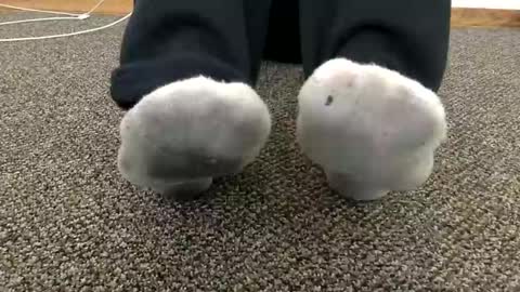 cash13bychanel online show from 14, 11, 2025