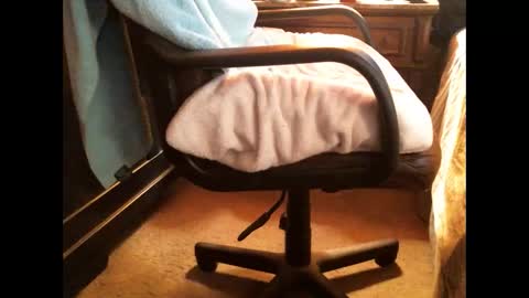 Snapshot of cashew72 chatting on 25, 12, 2024 Cashew online show from 25, 12, 2024