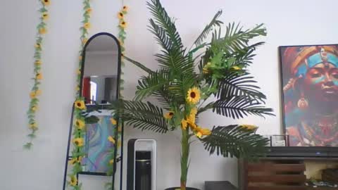 cashy_meal online show from 19, 5, 2026