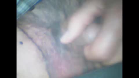 castells online show from 13, 3, 2026