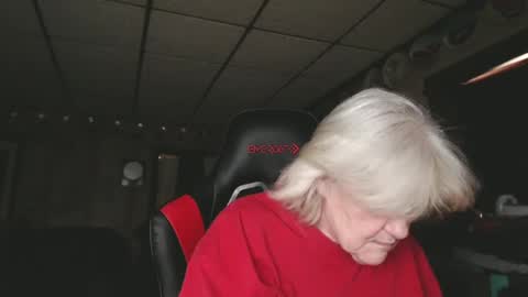 cat online show from 23, 12, 2024