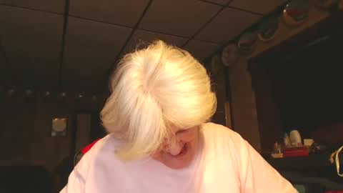 cat online show from 29, 12, 2024