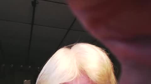 cat online show from 3, 1, 2025