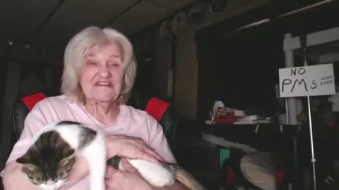 cat online show from 4, 2, 2025