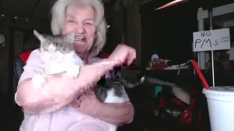 cat online show from 5, 2, 2025