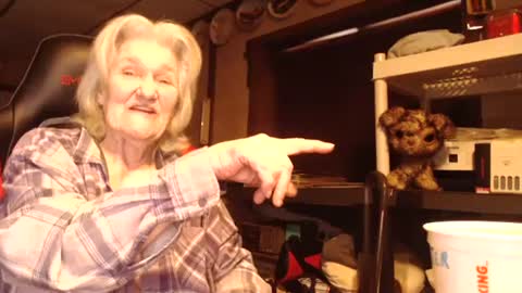 cat online show from 25, 2, 2025