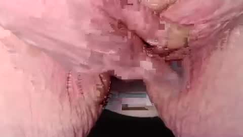 cat online show from 7, 3, 2025