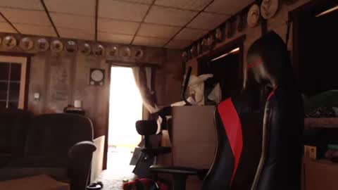 cat online show from 13, 9, 2025