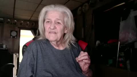 cat online show from 13, 10, 2025