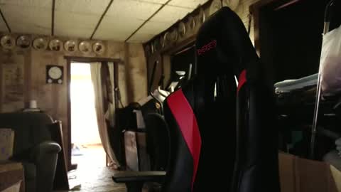 cat online show from 24, 10, 2025