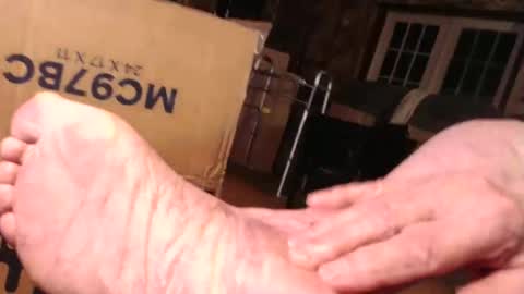 cat online show from 28, 10, 2025