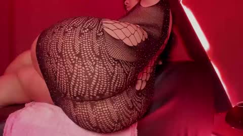 Cataleya online show from 4, 12, 2024