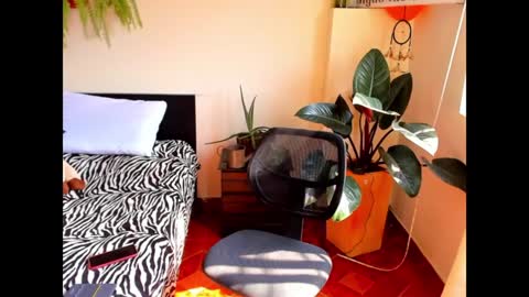 Snapshot of catalinalince chatting on 9, 12, 2024 Cataina Lince online show from 9, 12, 2024