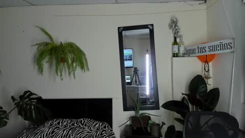 Snapshot of catalinalince chatting on 22, 12, 2024 Cataina Lince online show from 22, 12, 2024