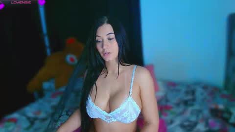 Cat online show from 20, 11, 2025