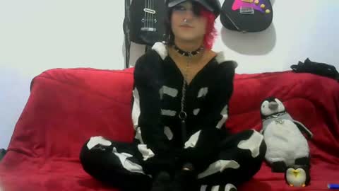 Cat online show from 27, 6, 2026