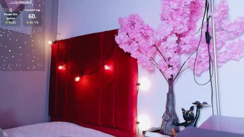 CATALEYA  online show from 5, 4, 2026