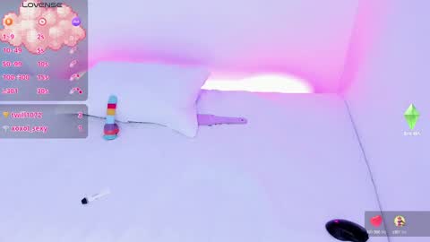 CattNamy online show from 18, 12, 2024