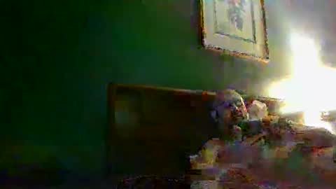 Snapshot of cborzbeyond22213 chatting on 21, 12, 2025 TheGoldenStroker222 online show from 21, 12, 2025