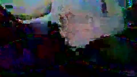 PureLeaf1990 online show from 5, 1, 2025