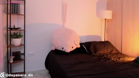 Alice online show from 26, 2, 2025