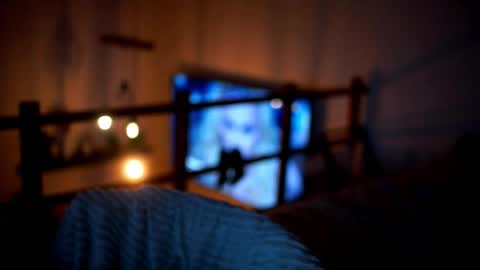 Snapshot of celeste_www chatting on 14, 2, 2026 Sunflower online show from 14, 2, 2026