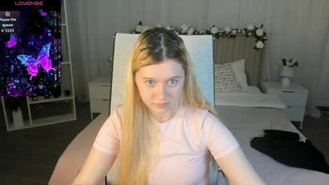 your cute kitty online show from 29, 5, 2026
