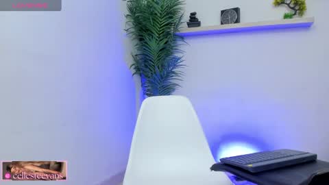 Snapshot of cellesteevans chatting on 25, 2, 2025 Celeste online show from 25, 2, 2025