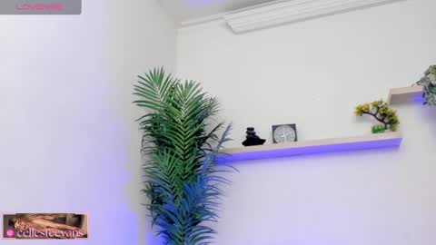 Snapshot of cellesteevans chatting on 12, 3, 2025 Celeste online show from 12, 3, 2025