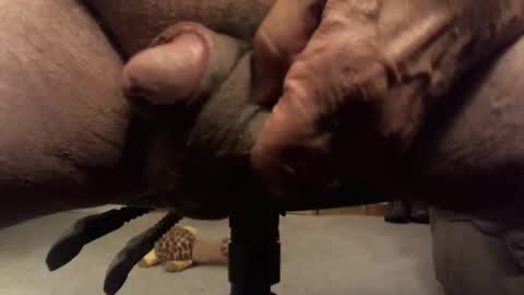 centaur629 online show from 13, 2, 2026