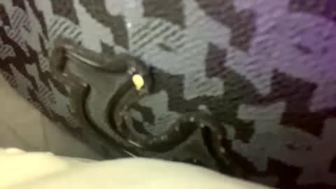 cezarthebreeder online show from 22, 2, 2026