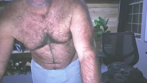 Snapshot of chadmichaell chatting on 11, 11, 2025 chadmichaell online show from 11, 11, 2025