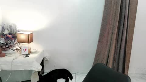 chakadal_xx online show from 20, 11, 2025