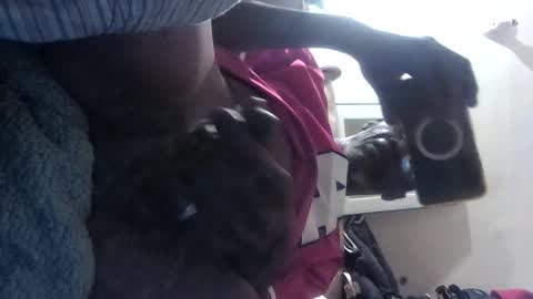 chalet49 online show from 15, 9, 2025