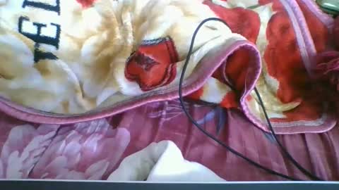 chantale483461 online show from 10, 5, 2026