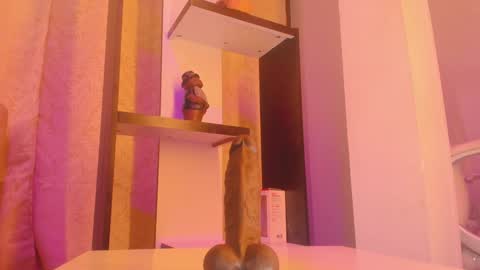 Snapshot of chantall_valkoba chatting on 7, 1, 2025 Chantall online show from 7, 1, 2025