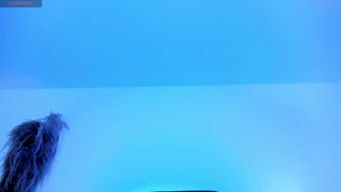 Snapshot of charlotte_whitee1 chatting on 12, 10, 2025 Charlotte  Everyday From 0700 to 1300 Col Time online show from 12, 10, 2025