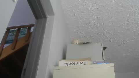 chaturbatordeluxe online show from 21, 12, 2025