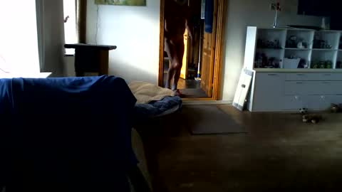 chefben666 online show from 14, 2, 2026