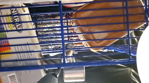 Snapshot of cheffydl chatting on 16, 11, 2025 cheffydl online show from 16, 11, 2025