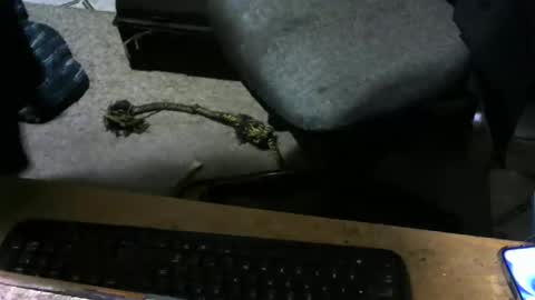 Snapshot of chefy999 chatting on 10, 11, 2025 chefy online show from 10, 11, 2025