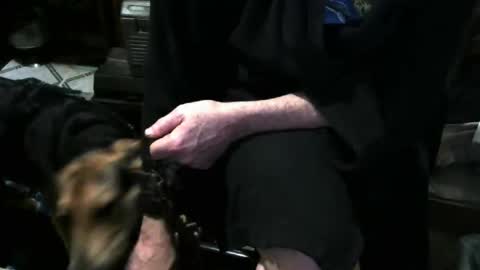 Snapshot of chefy999 chatting on 3, 12, 2025 chefy online show from 3, 12, 2025