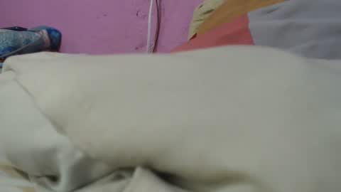 Cheila online show from 29, 6, 2026