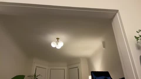 chellybear101 online show from 11, 1, 2025