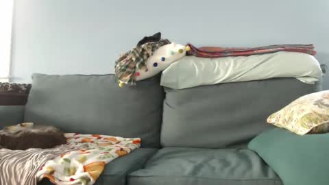 Chelsea online show from 27, 12, 2024