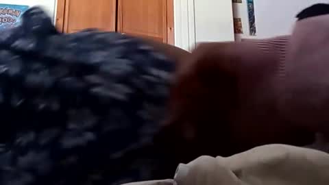 ChemicalX  online show from 9, 3, 2026