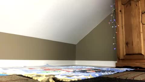 chenovich online show from 4, 1, 2025