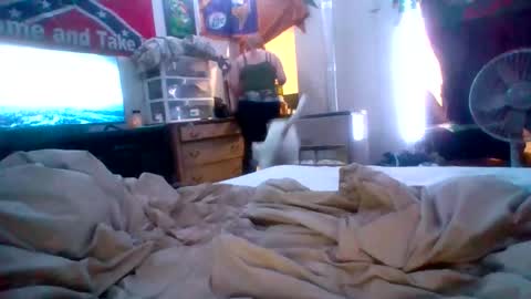 cherrybomb454 online show from 16, 2, 2026